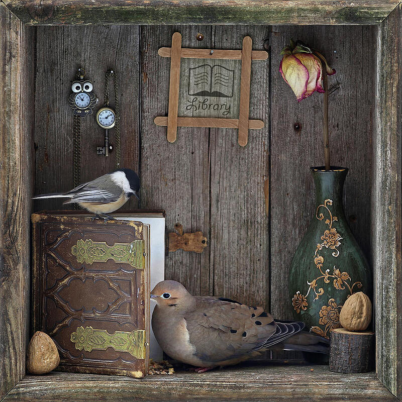 birds-library-alexander-sviridov (1)