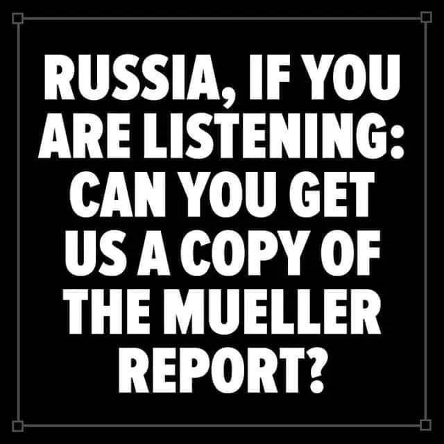 55875494_10218932355763580_8964628002759507968_n