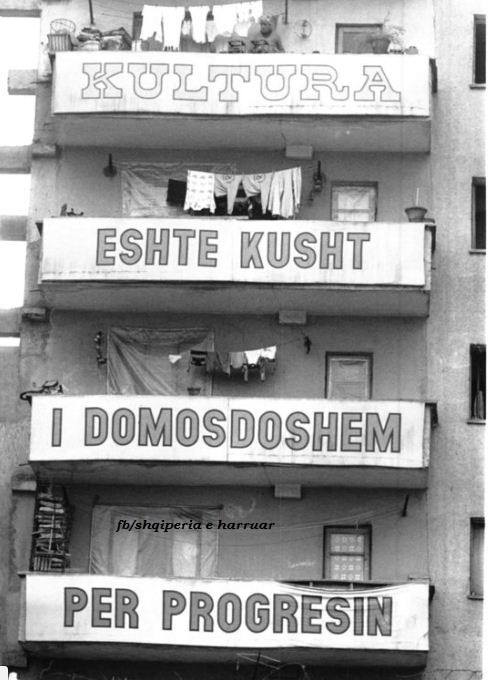 35646165_777880309082036_1483720465565351936_n