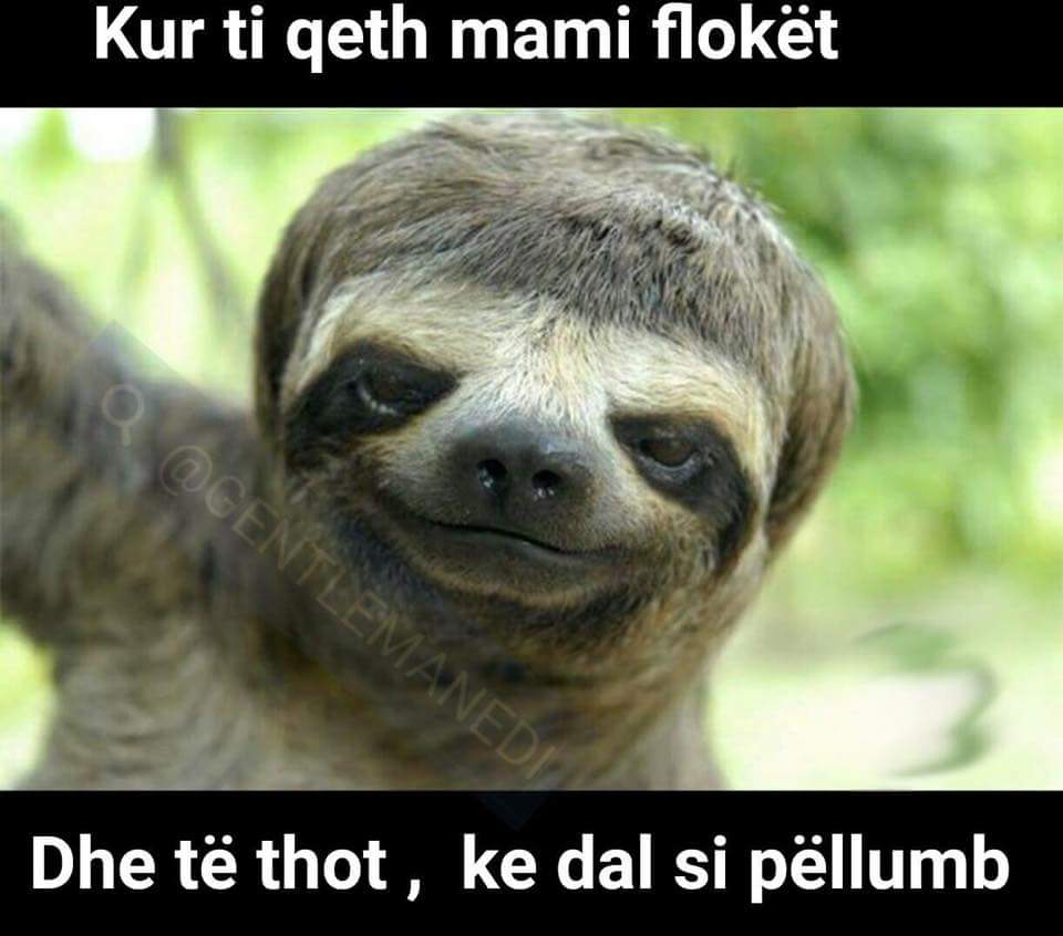 26114245_10156425718473488_7097217129581847818_n