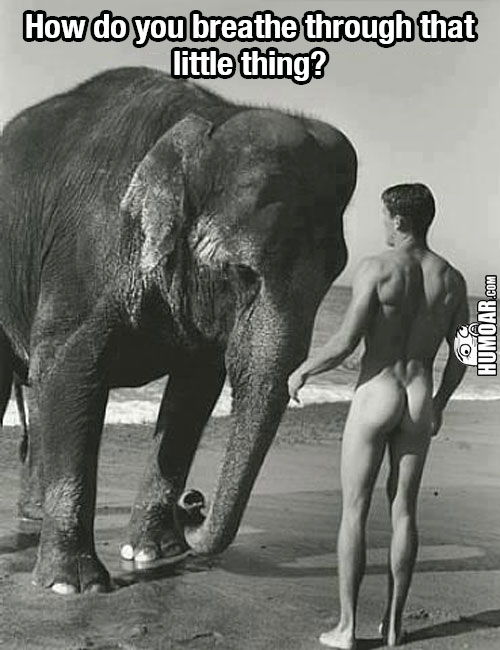 how-do-you-breathe-through-that-little-thing