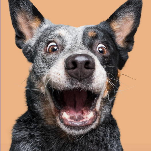 334522332_23854571951040208_6358403246596331273_n