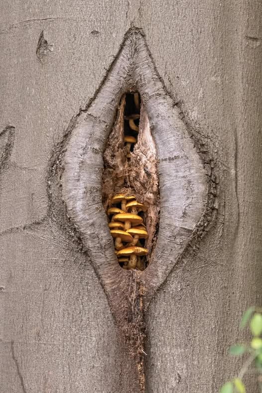 569666006_1213397094153360_2969720780621657279_n